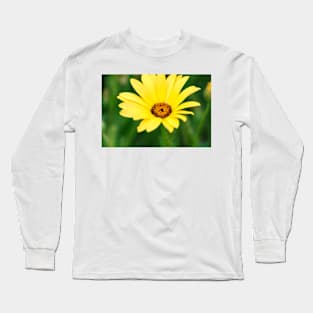 Yellow flower close-up against blurry green background Long Sleeve T-Shirt